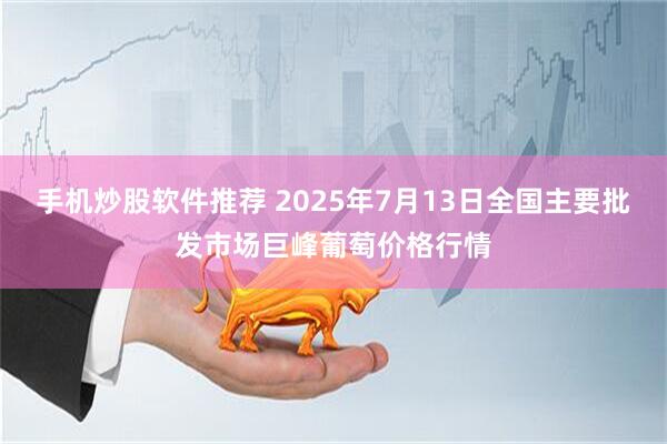 手机炒股软件推荐 2025年7月13日全国主要批发市场巨峰葡萄价格行情